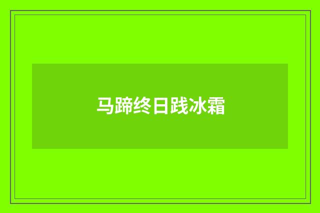 马蹄终日践冰霜