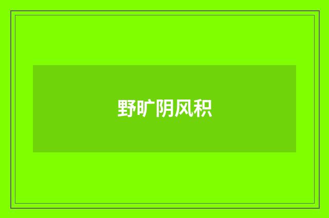 野旷阴风积