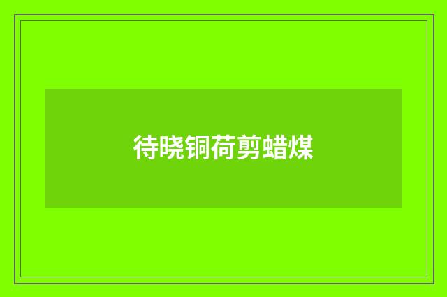 待晓铜荷剪蜡煤