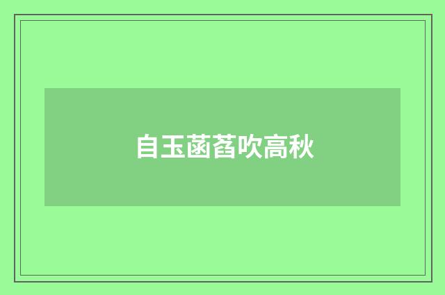 自玉菡萏吹高秋