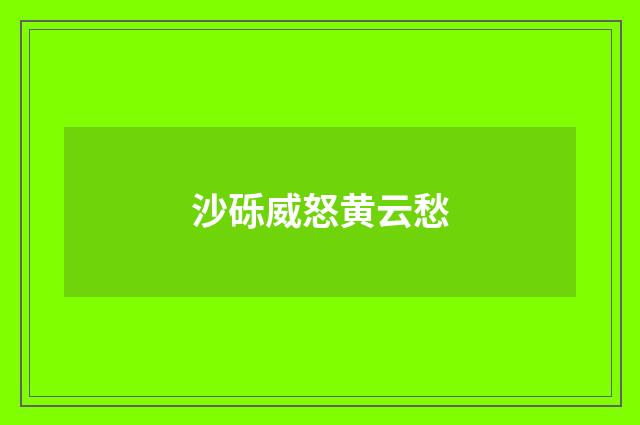 沙砾威怒黄云愁