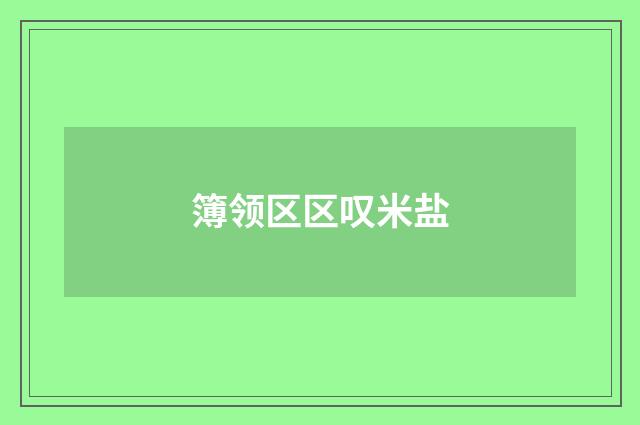 簿领区区叹米盐