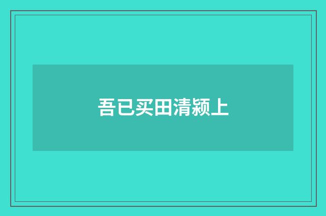 吾已买田清颍上