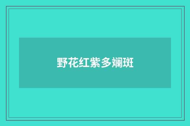 野花红紫多斓斑