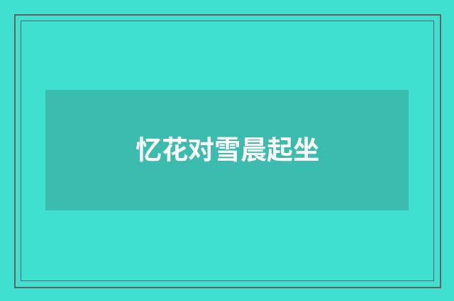 忆花对雪晨起坐