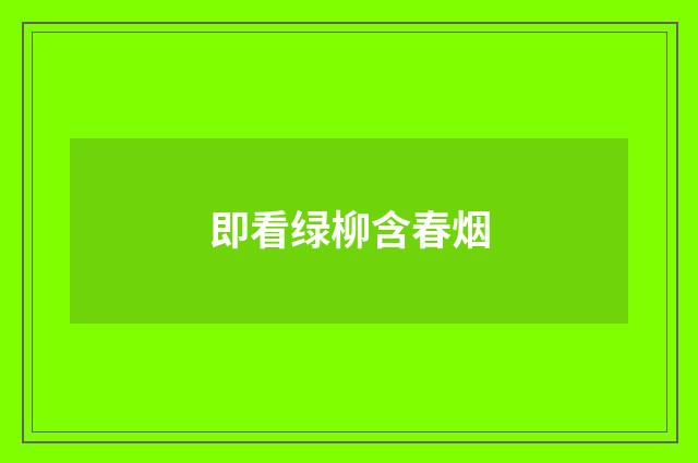 即看绿柳含春烟