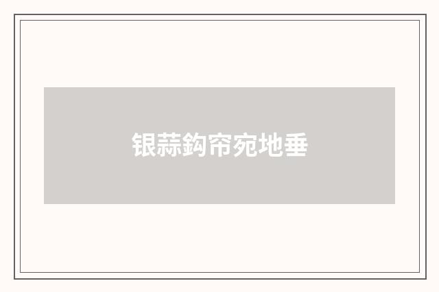 银蒜鈎帘宛地垂