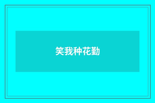 笑我种花勤