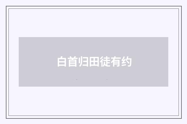 白首归田徒有约