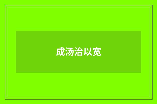 成汤治以宽