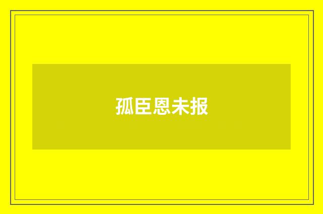 孤臣恩未报