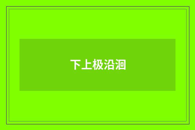 下上极沿洄