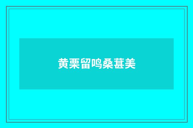 黄栗留鸣桑葚美