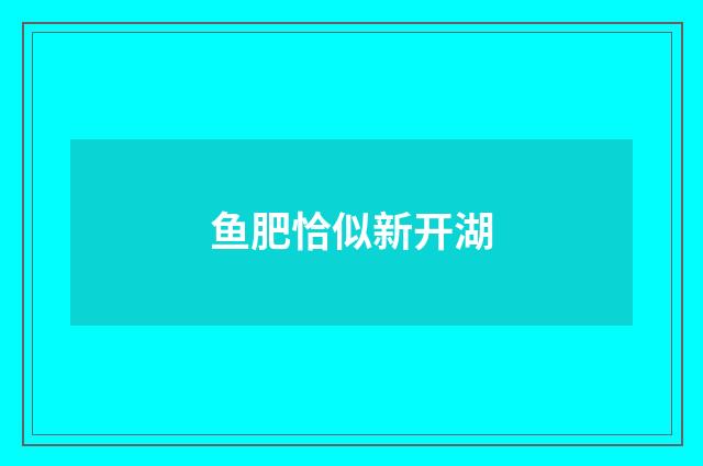 鱼肥恰似新开湖