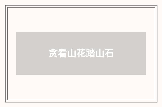 贪看山花踏山石