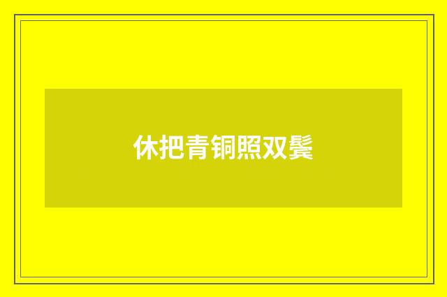 休把青铜照双鬓