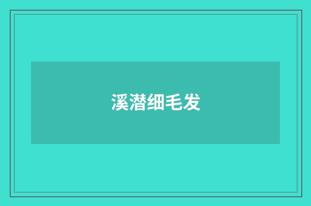 溪潜细毛发
