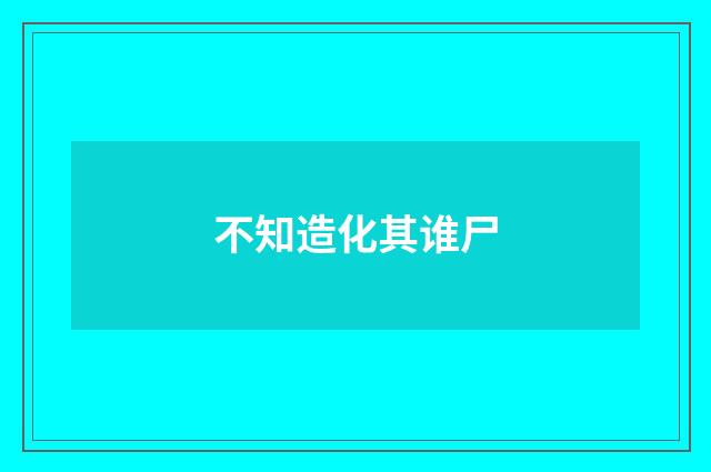 不知造化其谁尸