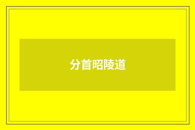 分首昭陵道