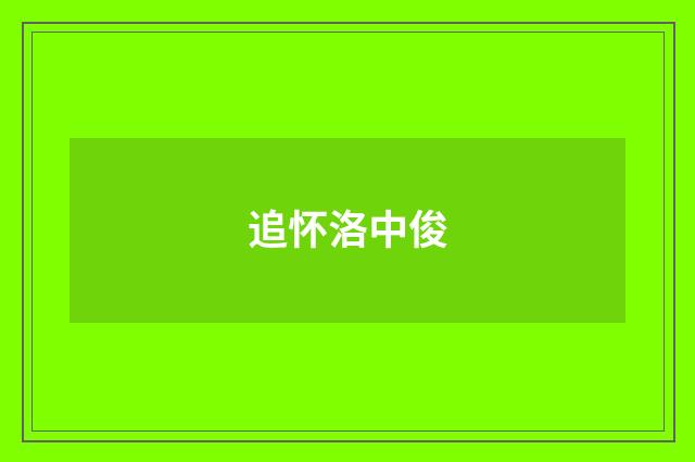 追怀洛中俊