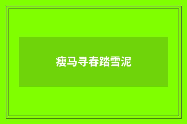 瘦马寻春踏雪泥