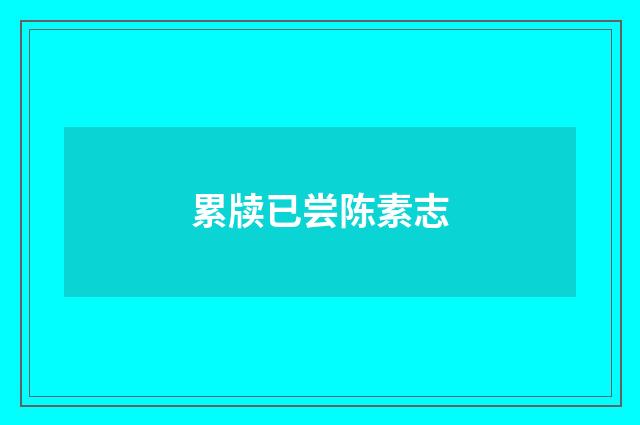 累牍已尝陈素志