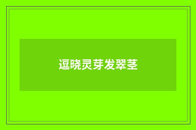 逗晓灵芽发翠茎