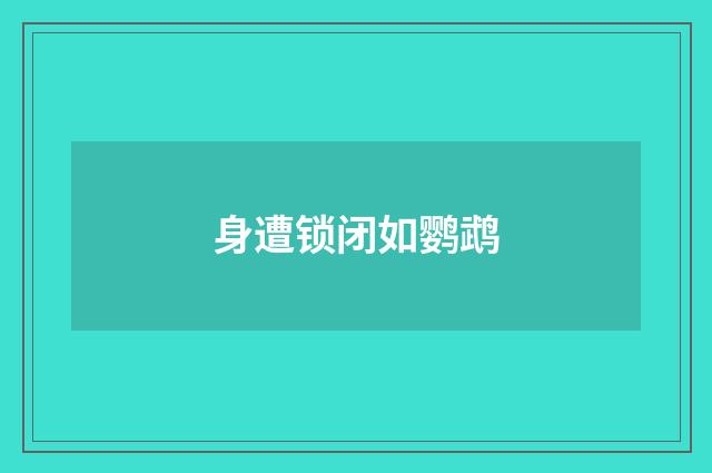 身遭锁闭如鹦鹉