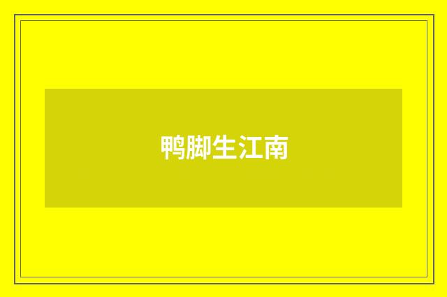 鸭脚生江南