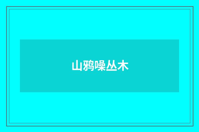 山鸦噪丛木