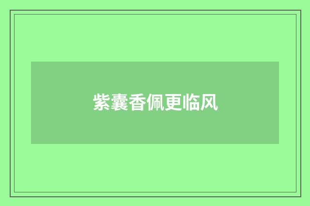 紫囊香佩更临风