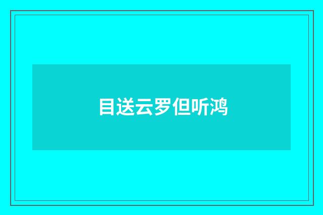 目送云罗但听鸿