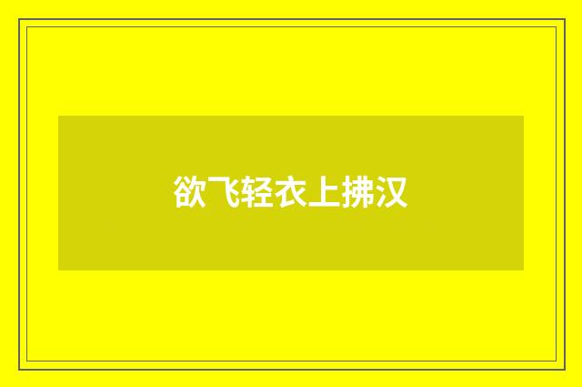 欲飞轻衣上拂汉