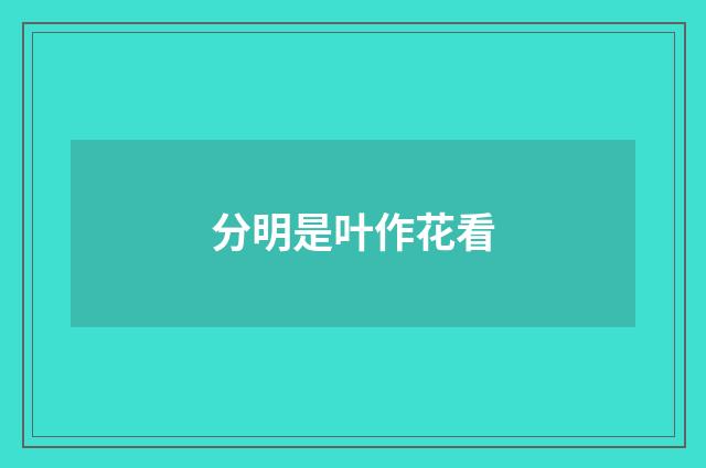 分明是叶作花看