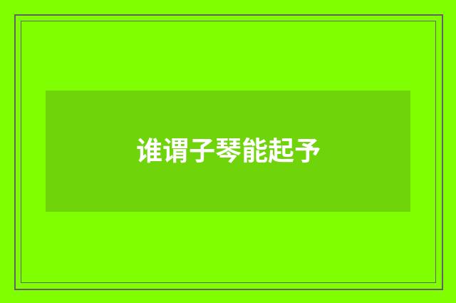 谁谓子琴能起予
