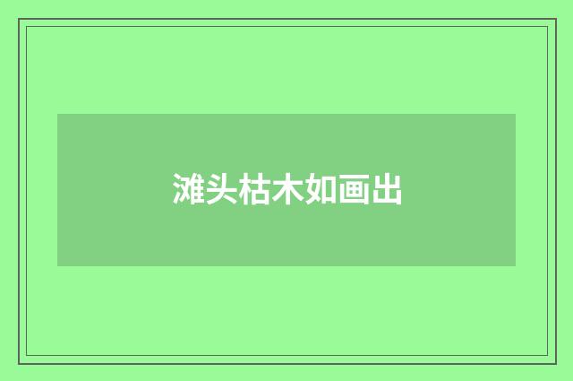 滩头枯木如画出