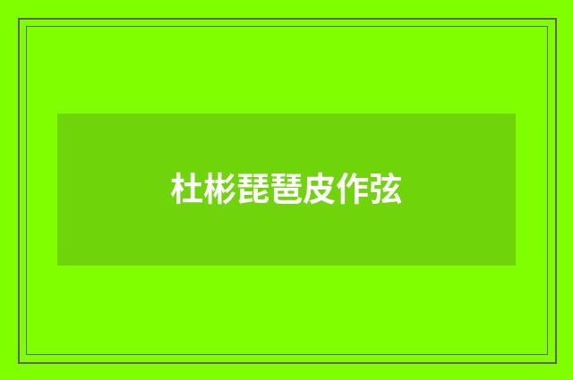 杜彬琵琶皮作弦