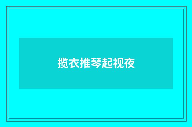 揽衣推琴起视夜
