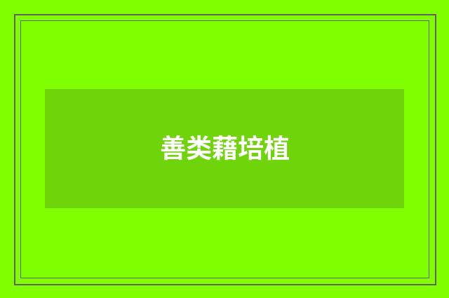 善类藉培植