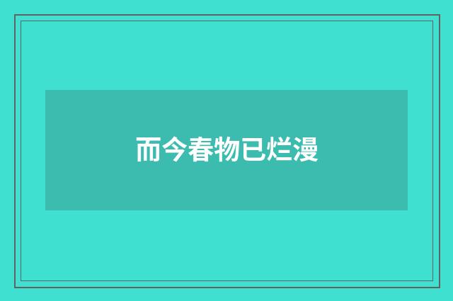 而今春物已烂漫