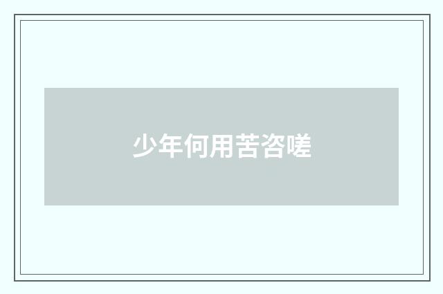 少年何用苦咨嗟