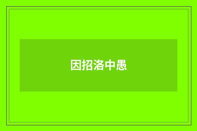 因招洛中愚