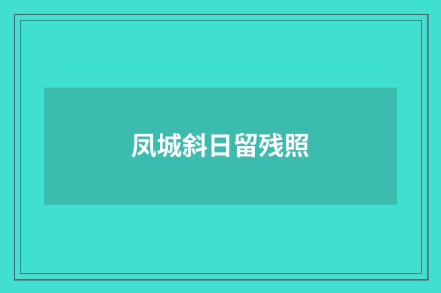 凤城斜日留残照