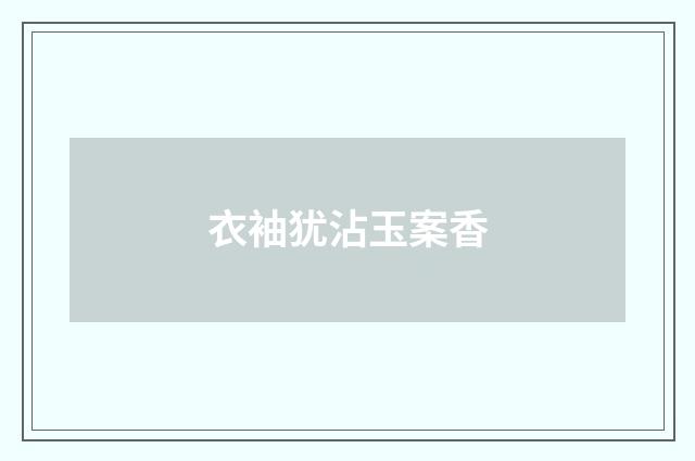 衣袖犹沾玉案香