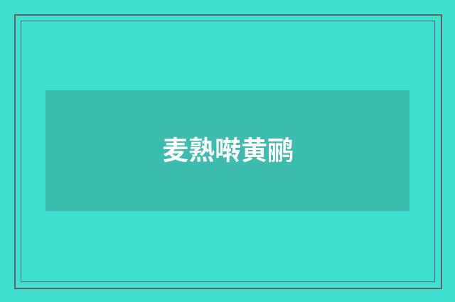 麦熟啭黄鹂
