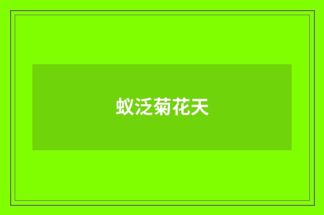 蚁泛菊花天