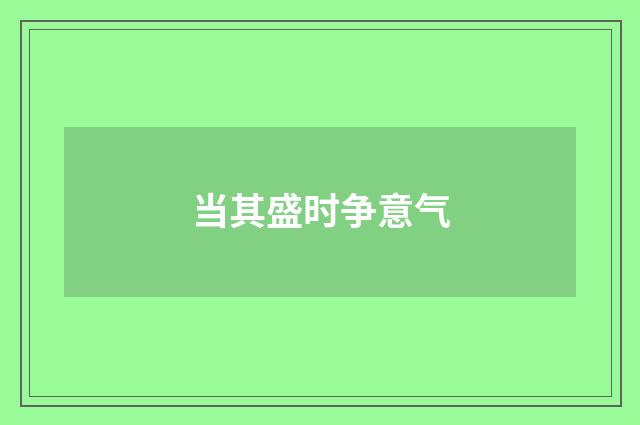 当其盛时争意气