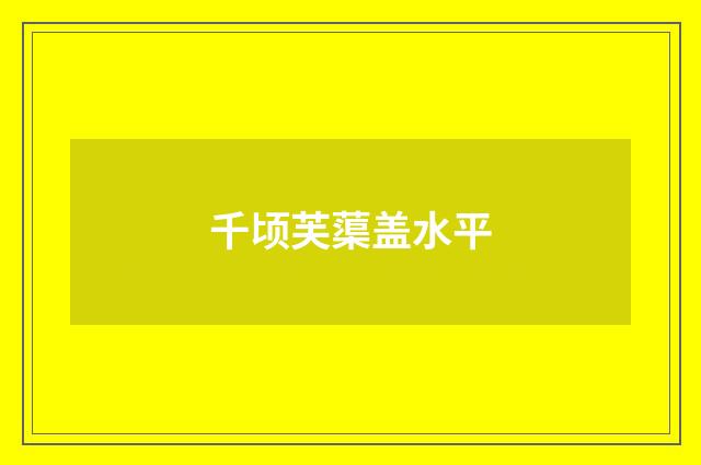 千顷芙蕖盖水平