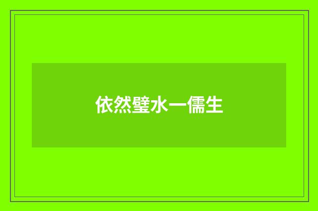 依然璧水一儒生