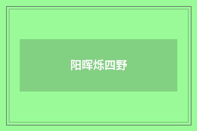 阳晖烁四野